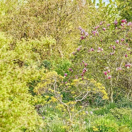 30580-odder-grindsnabevej-31