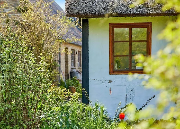 30580-odder-grindsnabevej-31